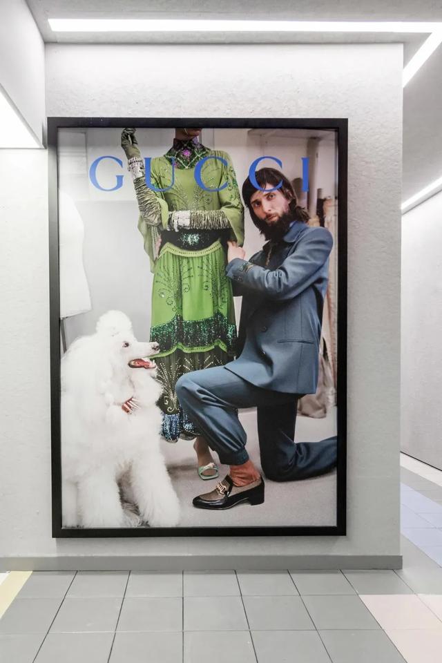 古驰gucci官网旗舰店最新款（古驰原典告诉你）(30)