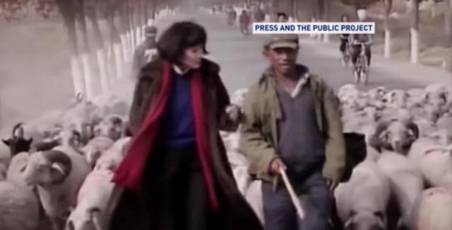 靳羽西今年几岁（从150美元到亿万身家）(16)