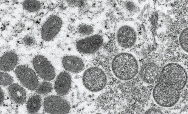 郑州封控区域规则（郑州发布105号通告）(35)