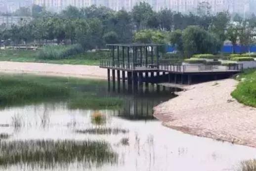 郑州免费又好玩的地方有哪些(郑州36个好玩的地方推荐给您)(5)