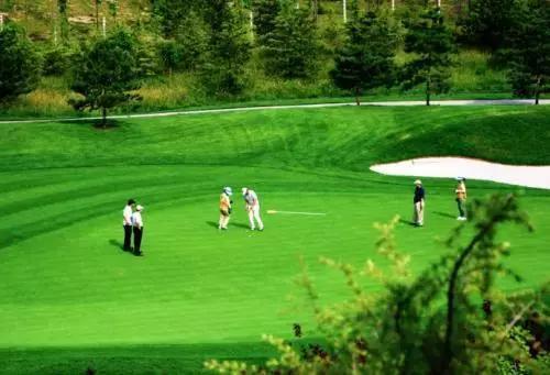 郑州免费又好玩的地方有哪些(郑州36个好玩的地方推荐给您)(22)