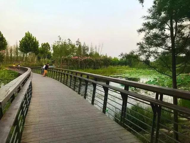 郑州免费又好玩的地方有哪些(郑州36个好玩的地方推荐给您)(1)