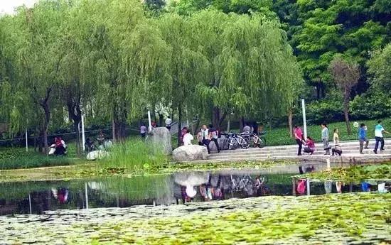 郑州免费又好玩的地方有哪些(郑州36个好玩的地方推荐给您)(2)