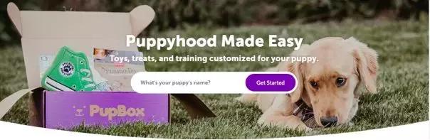 英国宠物行业发展现状（美国第二大宠物连锁Petco是怎么差异化发展的）(16)