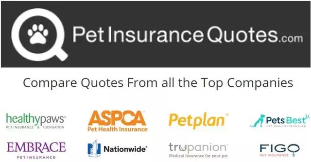 英国宠物行业发展现状（美国第二大宠物连锁Petco是怎么差异化发展的）(17)