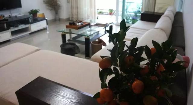 厦门最大的几家民宿(春风十里只为睡你)(28)