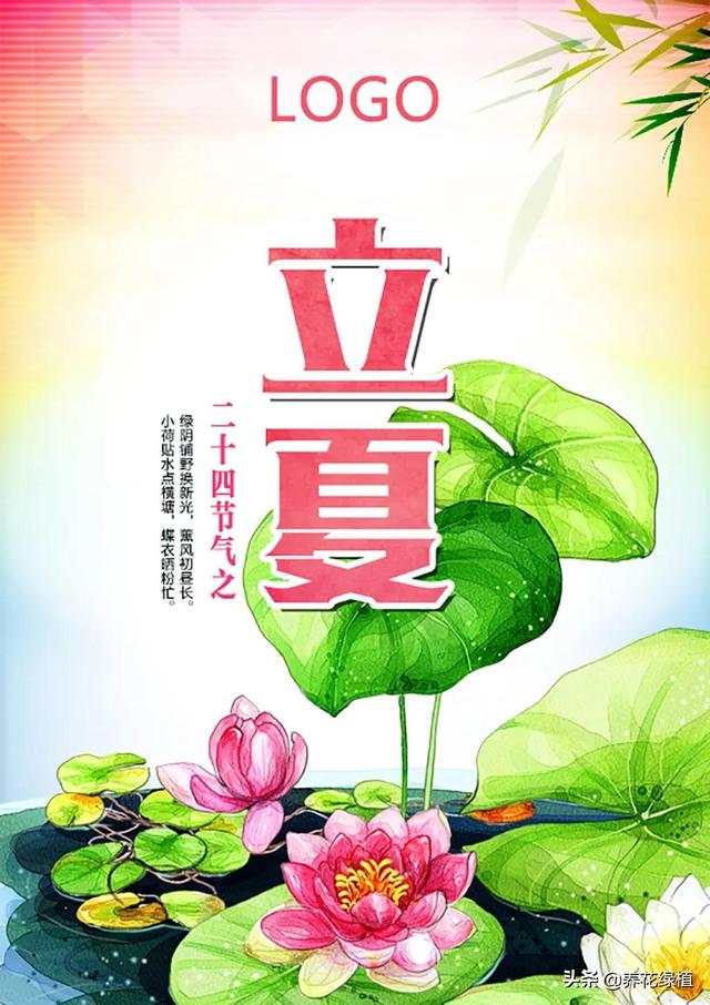 立夏降雨有什么说法（农谚立夏刮阵风）(1)