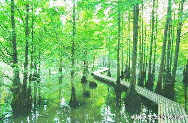 南京江宁十大景点推荐（南京江宁70个旅游景点欢迎您）(2)