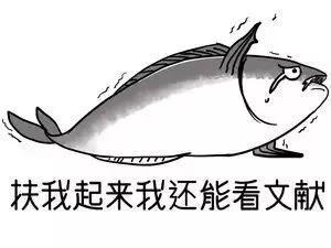 中文sci一区期刊都有哪些（关于学术你只知道SCI）(2)