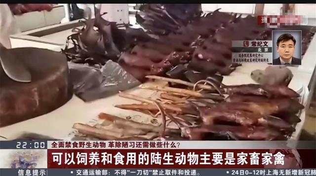 禁止非法野生动物交易制度（全国禁止非法野生动物交易）(2)