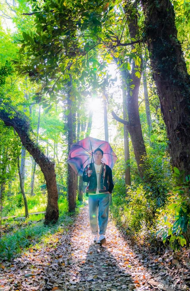 林生斌保姆纵火现状如何(你的深情原来只是卖惨)(2)