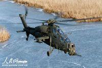 武直十排名(世界十大武直排行榜曝光)(1)