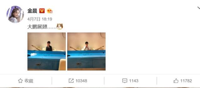 金晨贾乃亮现在的关系 贾乃亮金晨恋爱细节被扒(4)