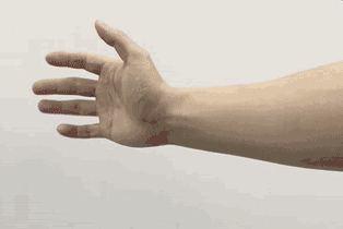 鼠标手型选择(7招拯救你的鼠标手)(11)