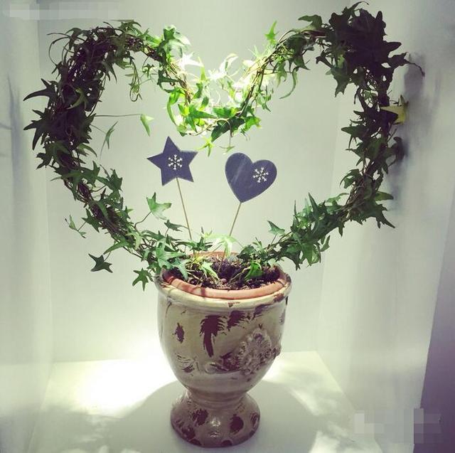 最漂亮的花店排名(最爱文艺范郑州最文艺的10家花店)(4)