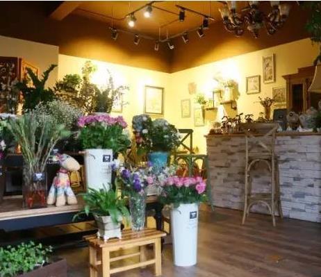 最漂亮的花店排名(最爱文艺范郑州最文艺的10家花店)(8)