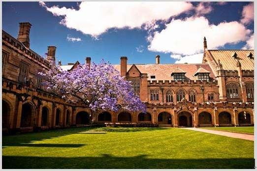 澳洲有哪八大名校(澳洲八大名校有怎样的优势)(17)