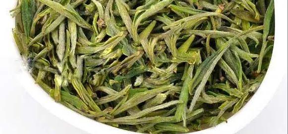 黄山毛峰茶叶简介（绿茶生长在天下第一奇山里的茶）(11)