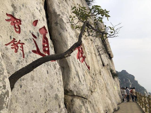 被誉为天下第一奇山（我国最古老的山之一）(8)