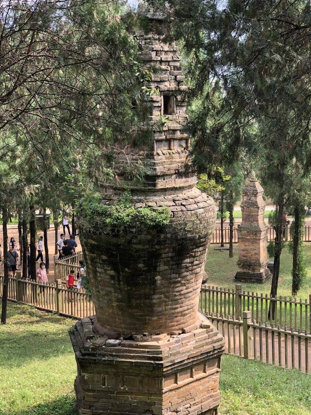 被誉为天下第一奇山（我国最古老的山之一）(17)