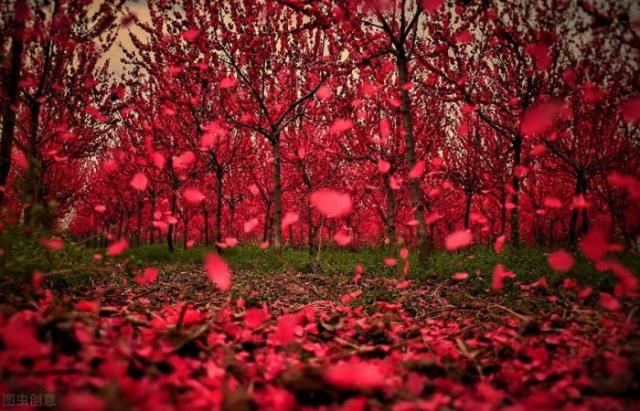 段誉井下大干王语嫣(王语嫣的磨坊与枯井)(1)