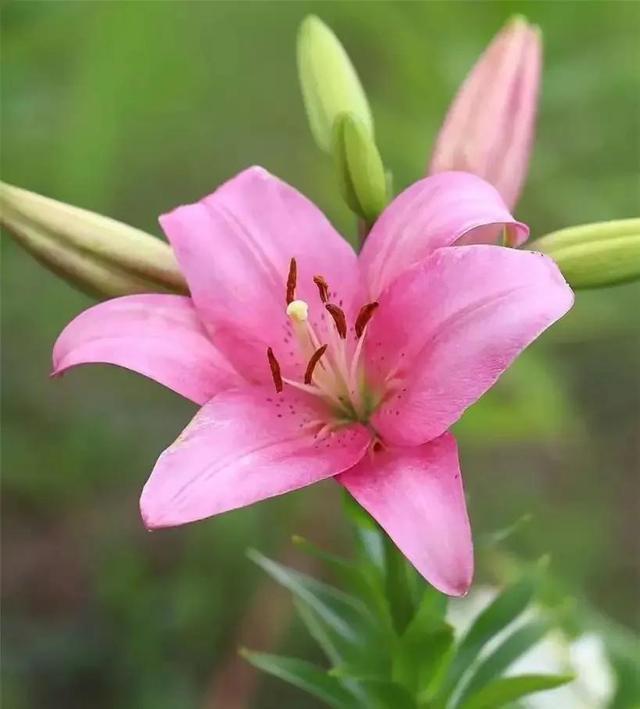 风流是一种态度(风流不代表下流)(4)