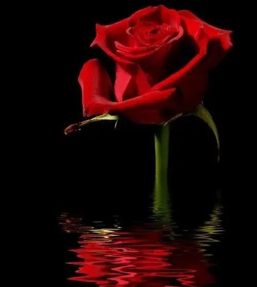 风流是一种态度(风流不代表下流)(5)