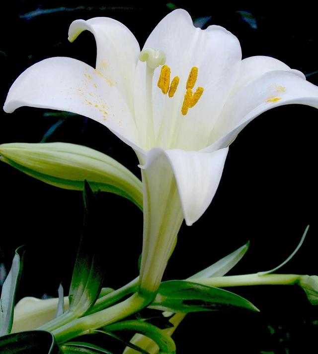 风流是一种态度(风流不代表下流)(6)