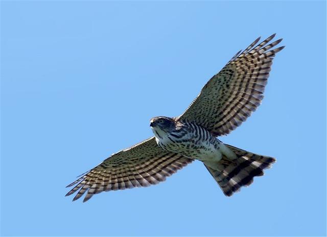 井底之蛙真假鉴别(小学生发现农夫山泉瓶身错印)(4)