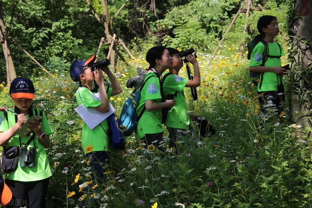 井底之蛙真假鉴别(小学生发现农夫山泉瓶身错印)(6)