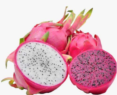 红火龙果和白火龙果区别功效,红心与白心火龙果的营养价值区别图3