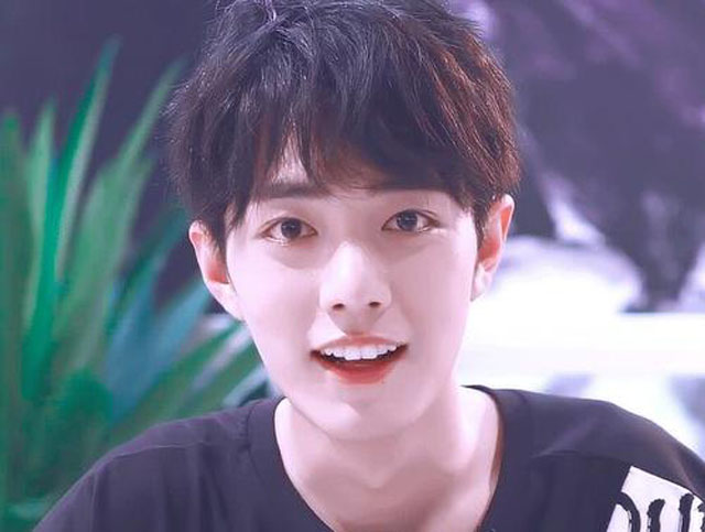 盘点娱乐圈的初恋脸男星(十大初恋脸男明星)