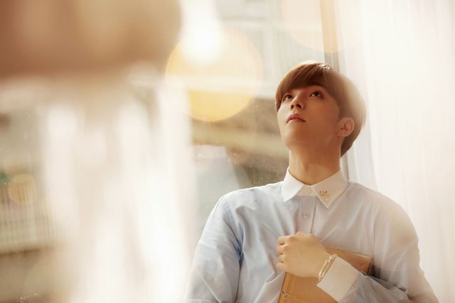 盘点娱乐圈的初恋脸男星(十大初恋脸男明星)