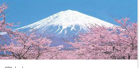 富士山是活火山还是死火山,日本的富士山是一座活火山吗图4