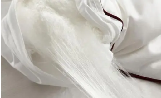 黄金蚕丝和白蚕丝区别,蚕茧黄色和白色的区别公母图4