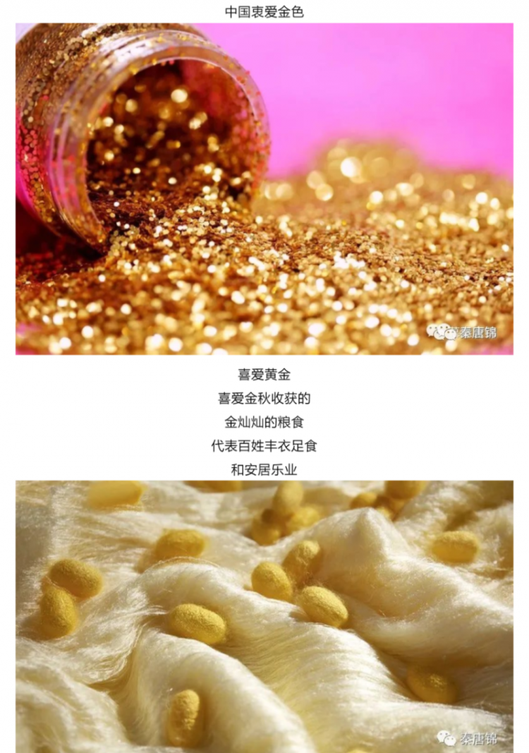 蚕茧黄色和白色的区别公母