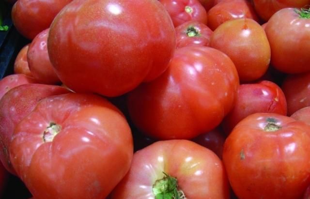 什么蔬菜属于碱性的呢