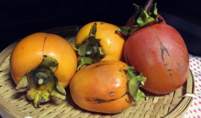 ​坚柿便是没熟的柿子吗，没有是（坚柿子是柿子的一个种类）