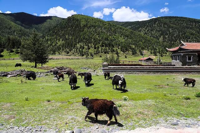 20万元的预算买什么硬派越野车(2.5L7AT卖20万的硬派越野)(20)