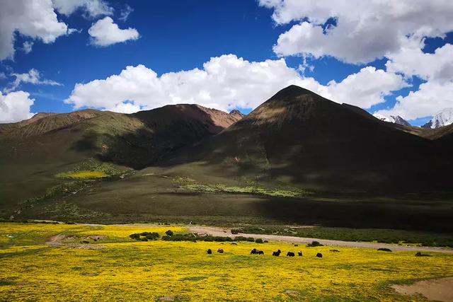20万元的预算买什么硬派越野车(2.5L7AT卖20万的硬派越野)(32)