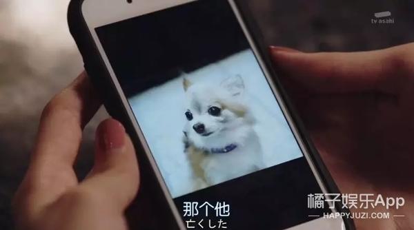 速水重道演绎霸道总裁变舔狗(速水重道演绎霸道总裁变舔狗)(11)