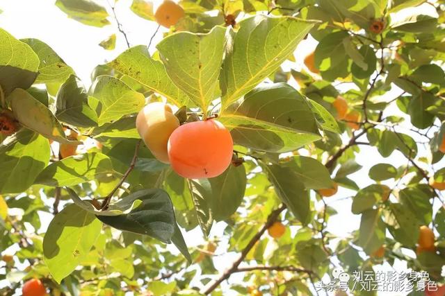 30条经典徒步线路（推荐一条精品户外徒步线路）(31)