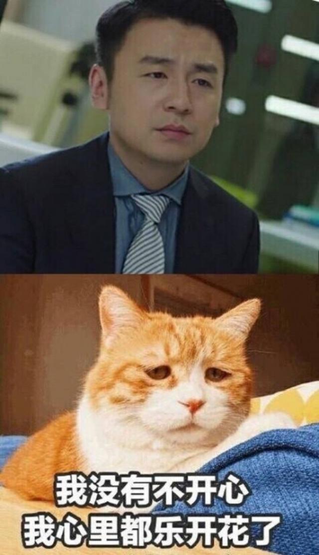 靳东和雷佳音谁高（啊啊啊你们都去爱靳东吧）(19)