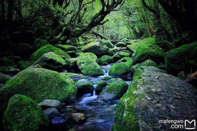 宫崎骏退休的故事（永不退休的宫崎骏80岁了）(25)
