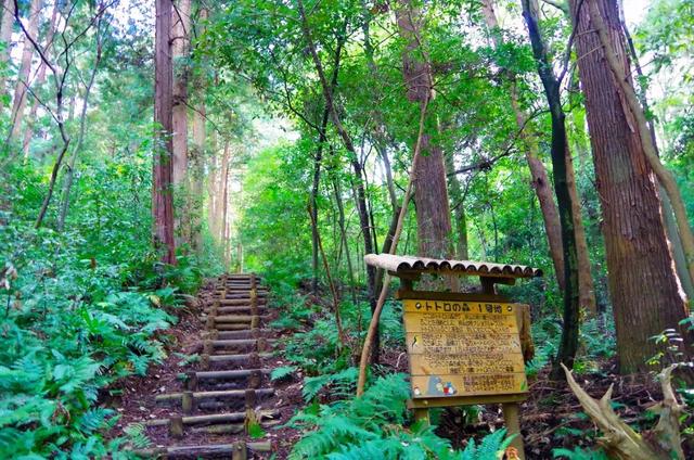 宫崎骏退休的故事（永不退休的宫崎骏80岁了）(27)