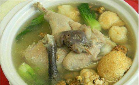 天麻的功效与作用,天麻的功效与作用图10