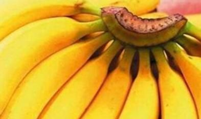 香蕉和芭蕉的区别，芭蕉和香蕉的区别？图4