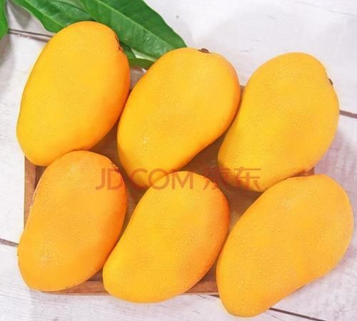 芒果是否可以带上飞机