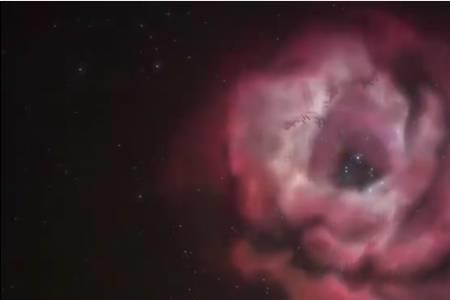 太空玫瑰花怎么获得