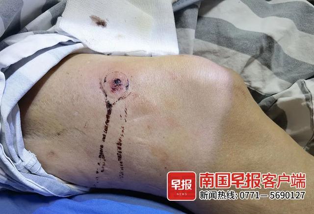 广西一居民发现巨蛇（头皮发麻广西两地）(2)